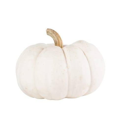 Order Pumpkins White food online from Jewel-Osco store, Libertyville on bringmethat.com