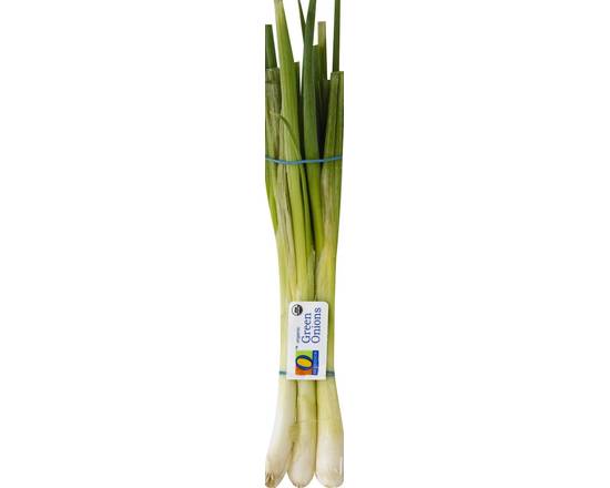 Order O Organics · Green Onions (1 bunch) food online from Safeway store, Phoenix on bringmethat.com