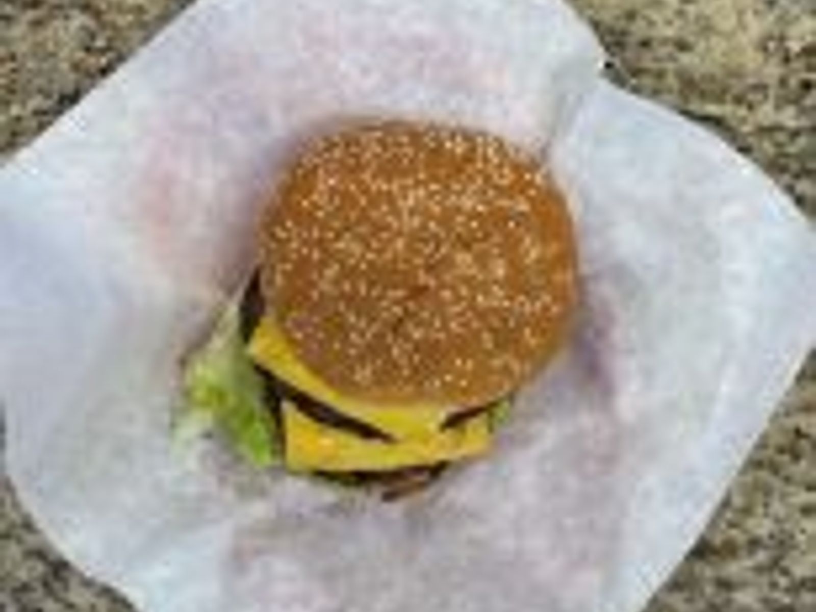 Order DBL Cheeseburger food online from Squabs Gyros store, Melrose Park on bringmethat.com