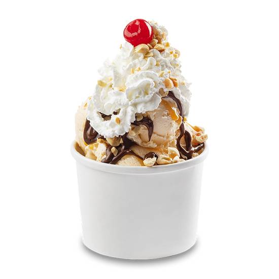 Order Large Sundae food online from The Original Rainbow Cone store, Lombard on bringmethat.com