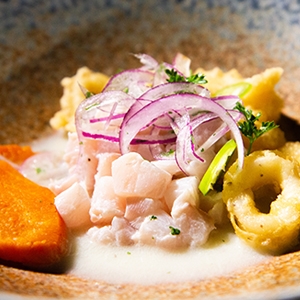 Order CEVICHE NEKKEI food online from Palenque Grill store, McAllen on bringmethat.com