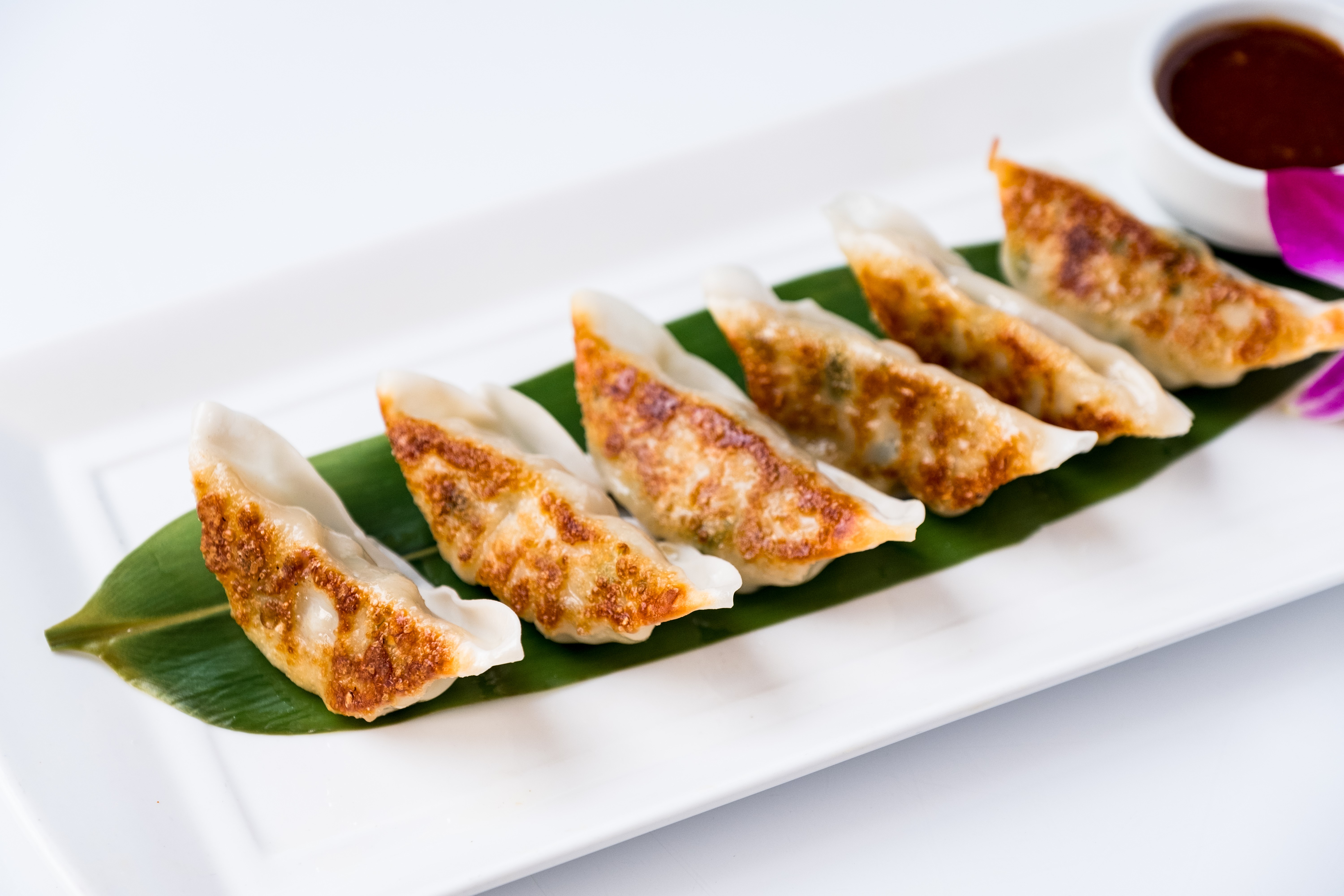 Order Gyoza Pot-Stickers food online from Nisen Sushi store, Commack on bringmethat.com