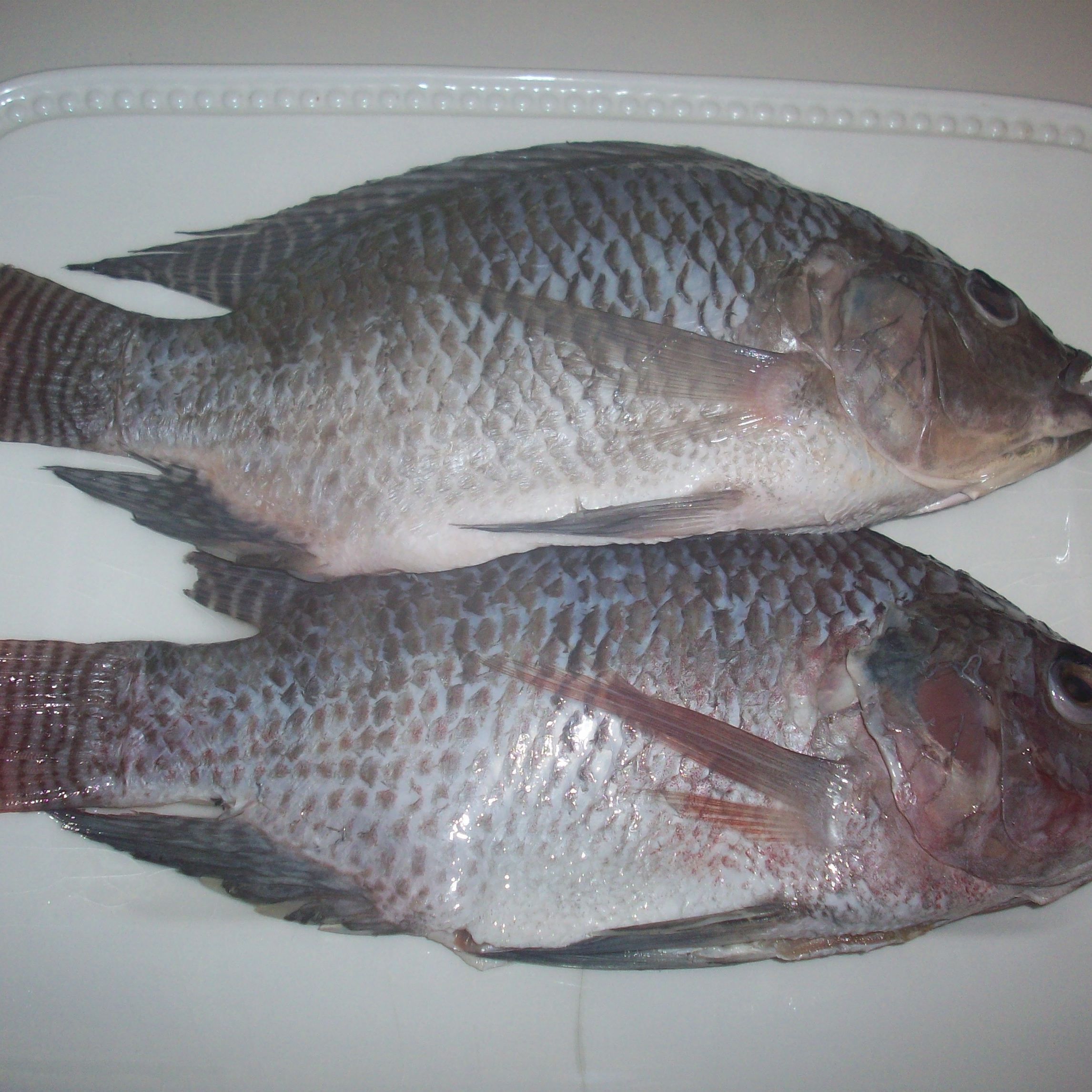 Order Tilapia Whole food online from Jr Seafood store, San Francisco on bringmethat.com