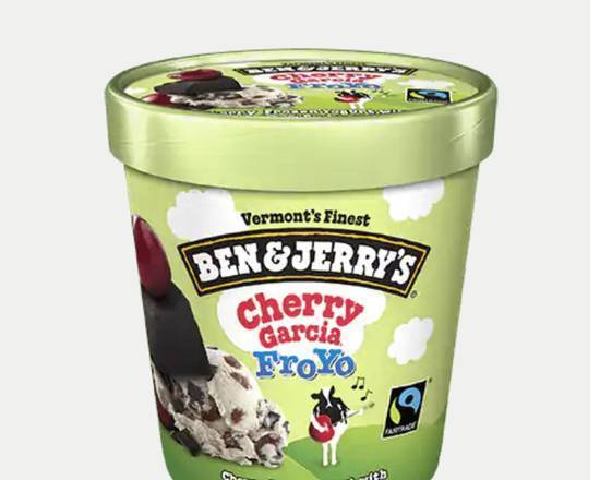 Order Cherry Garcia Frozen Yogurt food online from Ben & Jerry store, Burbank on bringmethat.com