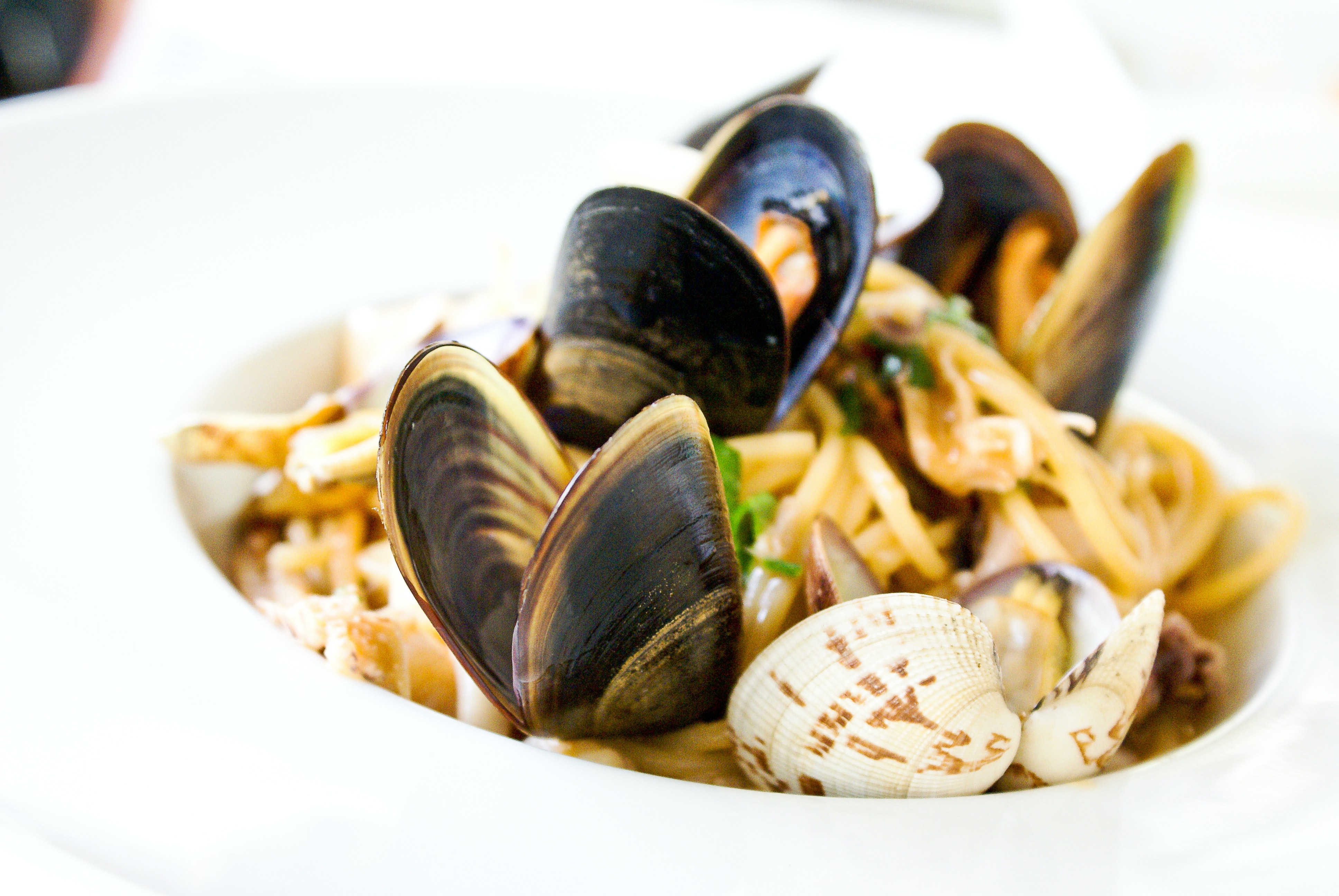 Order Mussels Marinara food online from Century One Pizza store, Jersey City on bringmethat.com