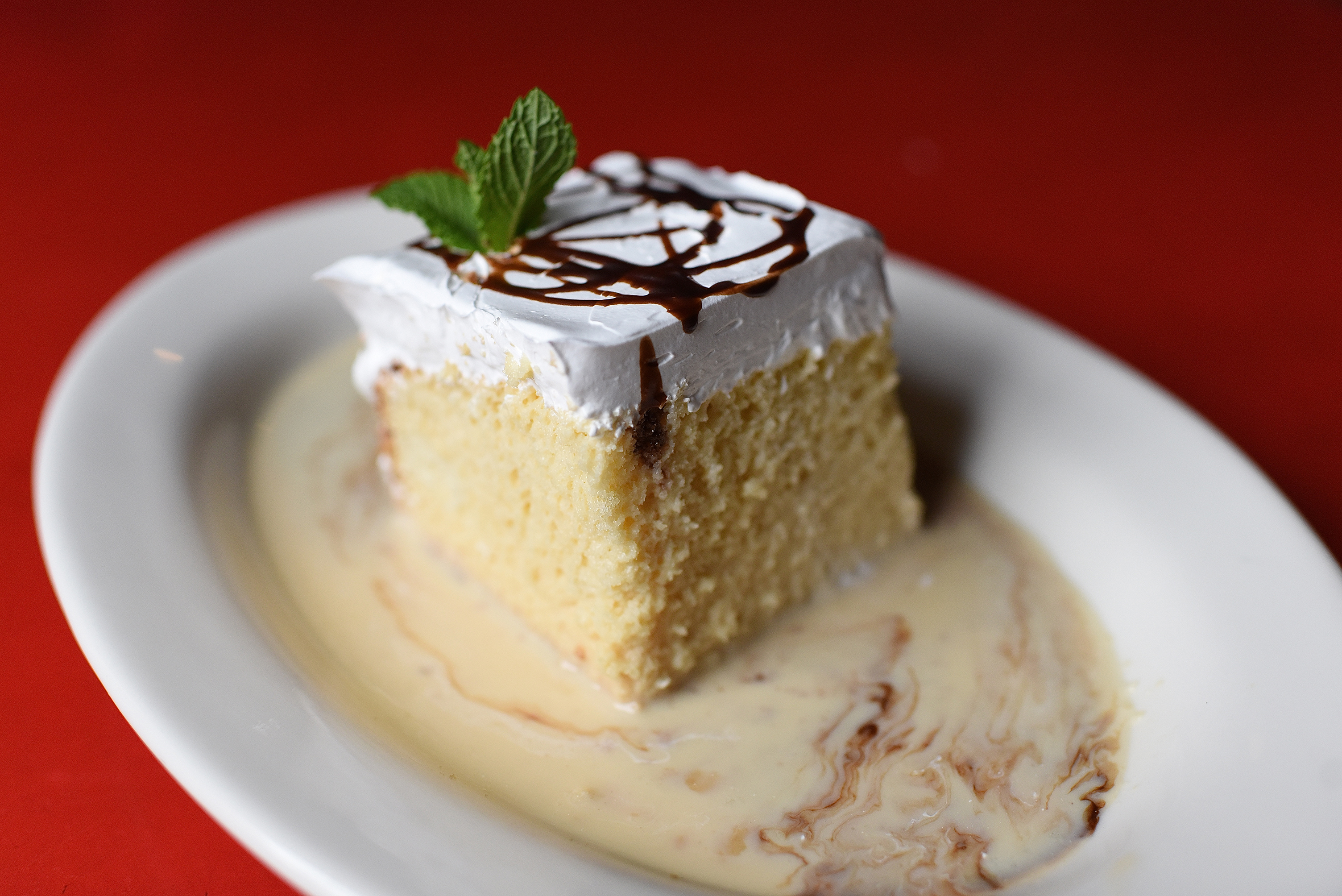 Order Homemade Tres Leches Cake food online from Molina Cantina store, Houston on bringmethat.com