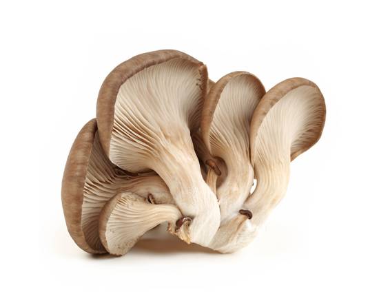 Order Oyster Mushrooms (3.5 oz) food online from Safeway store, Gilroy on bringmethat.com
