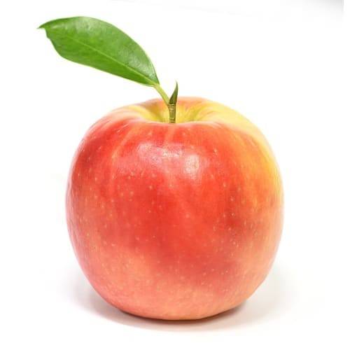 Order Macoun Tote Apple (1 apple) food online from Shaw's store, Londonderry on bringmethat.com