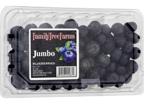 Order Jumbo Blueberries (9.8 oz) food online from Safeway store, North Bend on bringmethat.com