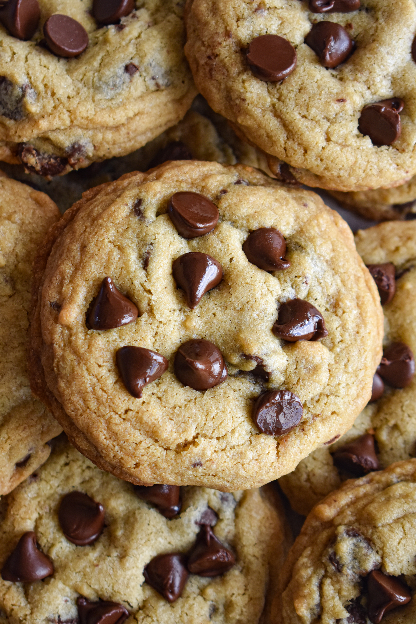 Order Chocolate Chip Cookie food online from Sabrina's Pizza & Restaurant store, Trenton on bringmethat.com