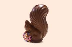 Order Chocolate Squirrel food online from Hanna Krause Homemade Candies store, Paramus on bringmethat.com