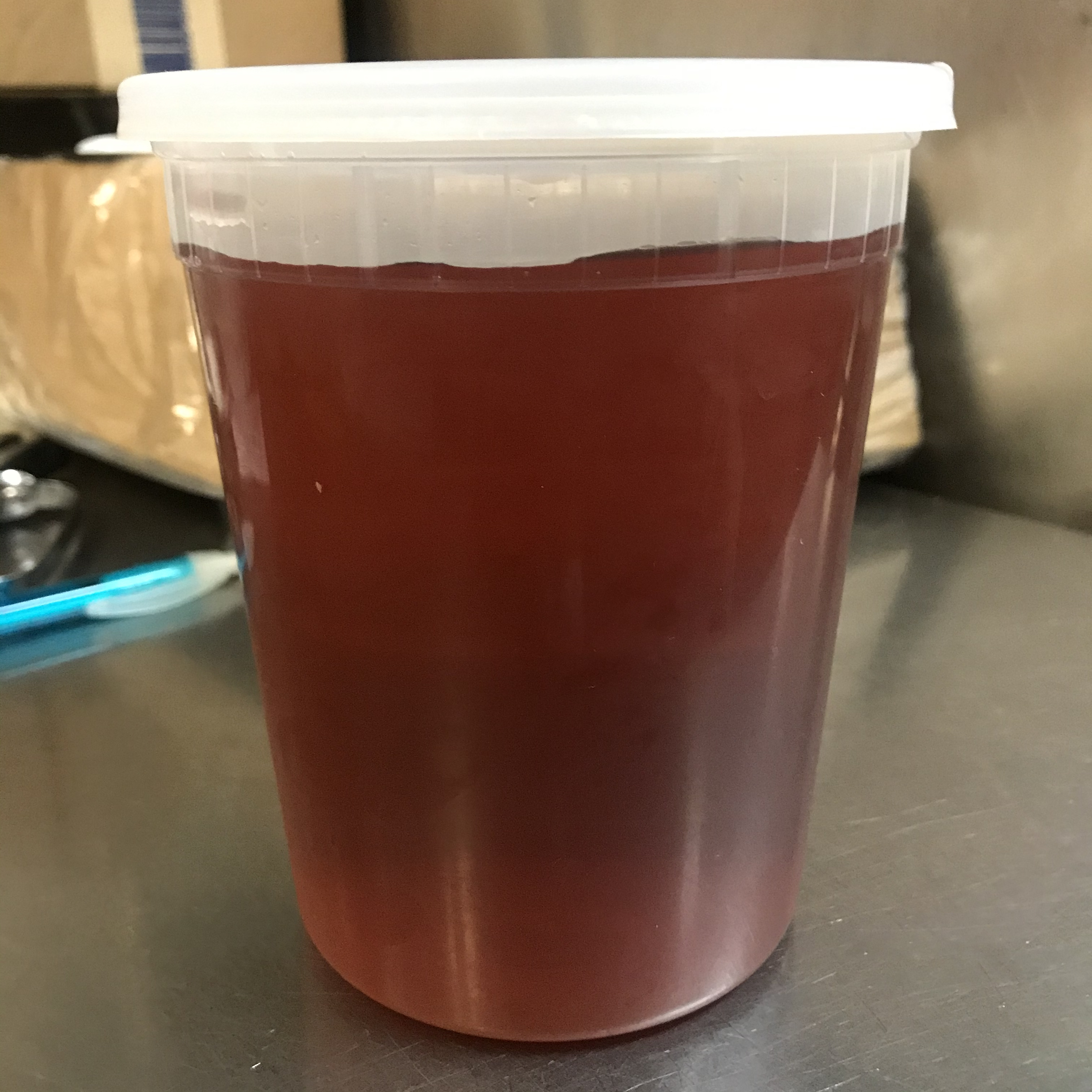 Order Homemade Ice Tea food online from Hai Sing Chinese Restaurant store, Yonkers on bringmethat.com