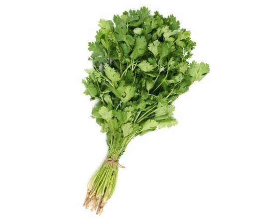 Order Cilantro (1 cilantro) food online from Albertsons Express store, Fort Worth on bringmethat.com