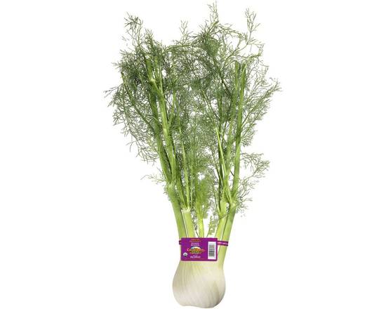 Order Organic Fennel (1 ct) food online from ACME Markets store, Norristown on bringmethat.com