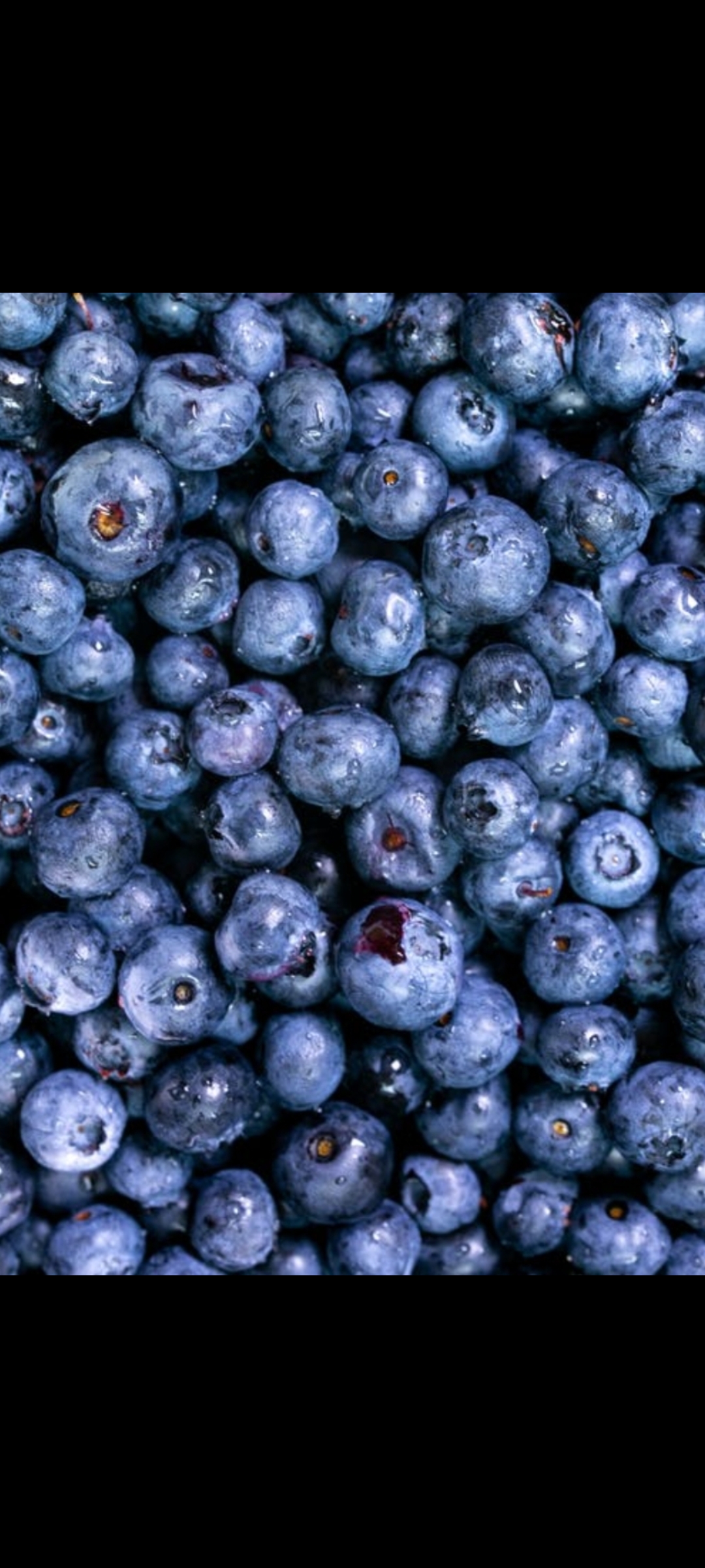 Order Blueberries Container  food online from American Gourmet Foods Deli store, New York on bringmethat.com