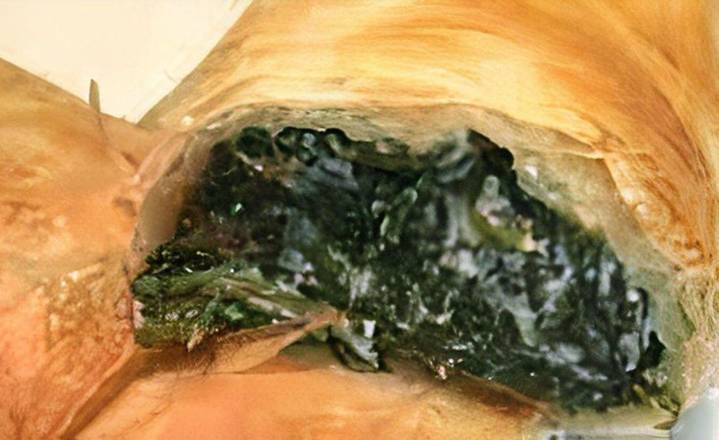 Order Spinach Roll food online from Ianazone Pizza store, Boardman on bringmethat.com