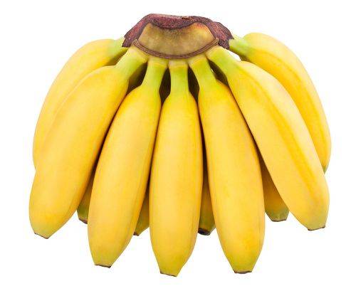 Order Baby Bananas (approx 0.9 lbs) food online from Winn-Dixie store, Apollo Beach on bringmethat.com
