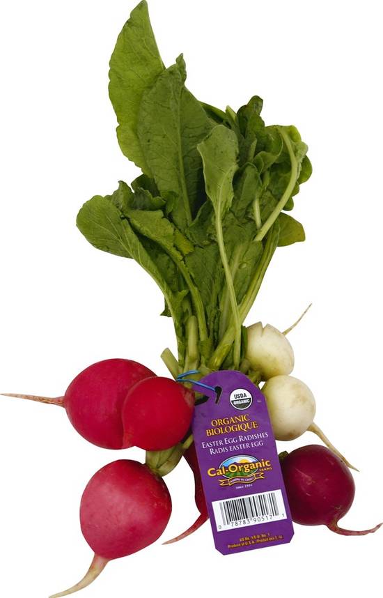 Order Cal-Organic Farms · Organic Radishes (1 bunch) food online from Albertsons Express store, Azle on bringmethat.com