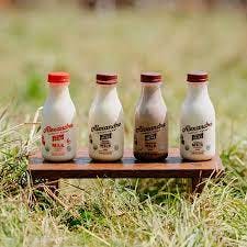 Order Milk by the Bottle food online from Dianna Bakery & Cafe Deli Specialty Market store, Benicia on bringmethat.com
