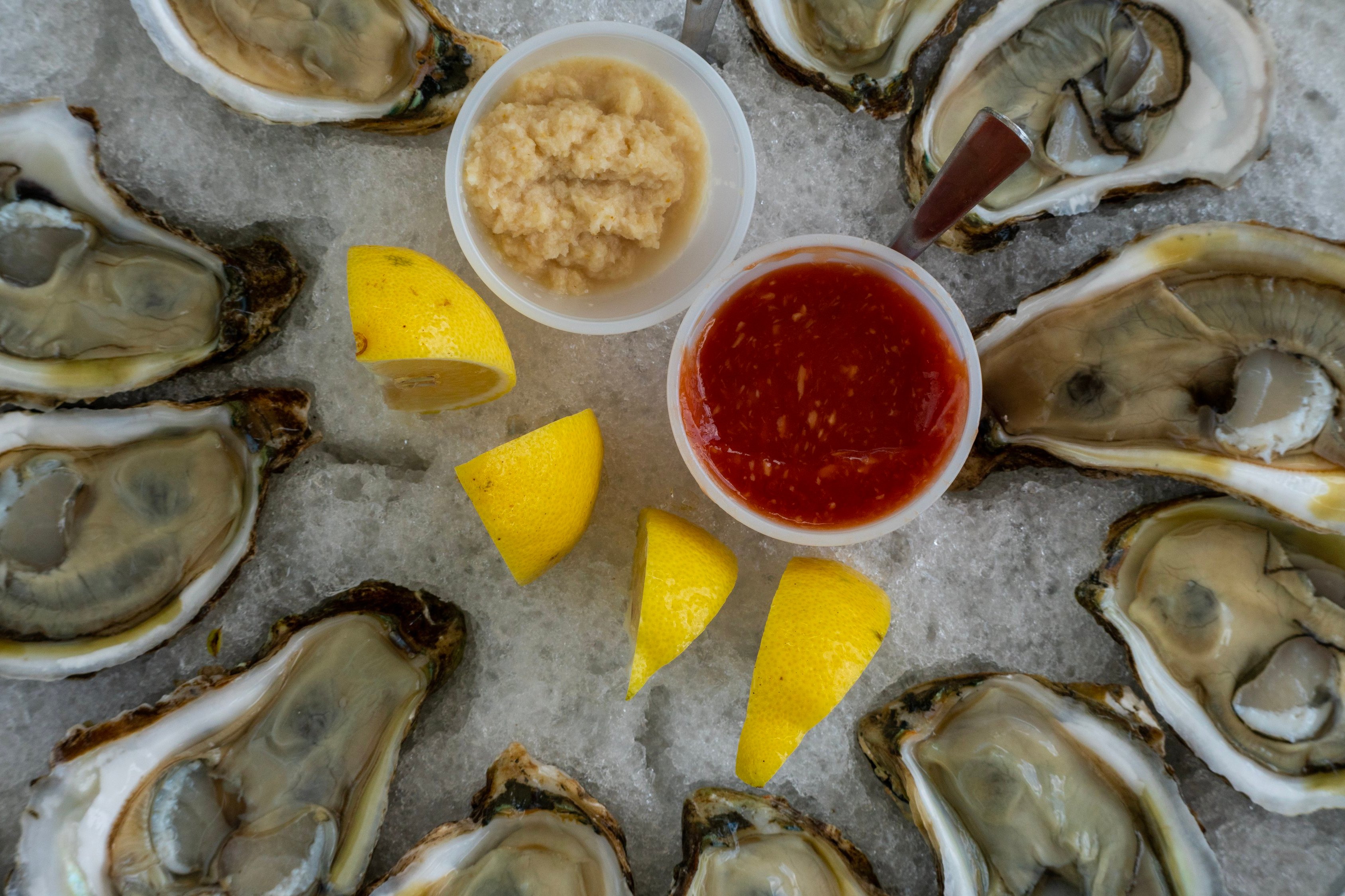 Order Steamed Oysters food online from Hook & Reel Cajun Seafood store, Denver on bringmethat.com