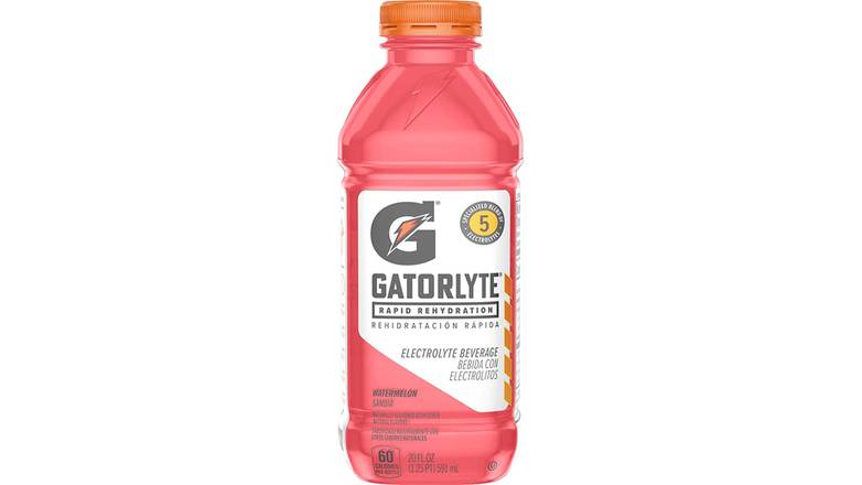 Order Gatorlyte Rapid Rehydration Electrolyte Watermelon food online from Red Roof Market store, Lafollette on bringmethat.com