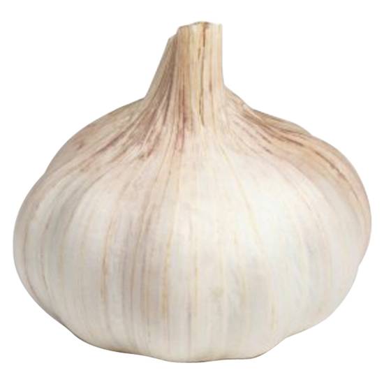 Order Garlic Whole Fresh Bulb 1ct food online from Drinks At Your Door by Gopuff store, Newton Highlands on bringmethat.com