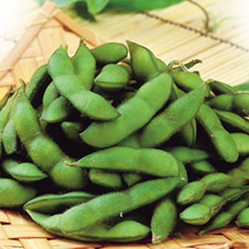Order Edamame food online from Tomo Japanese Cuisine store, Troy on bringmethat.com