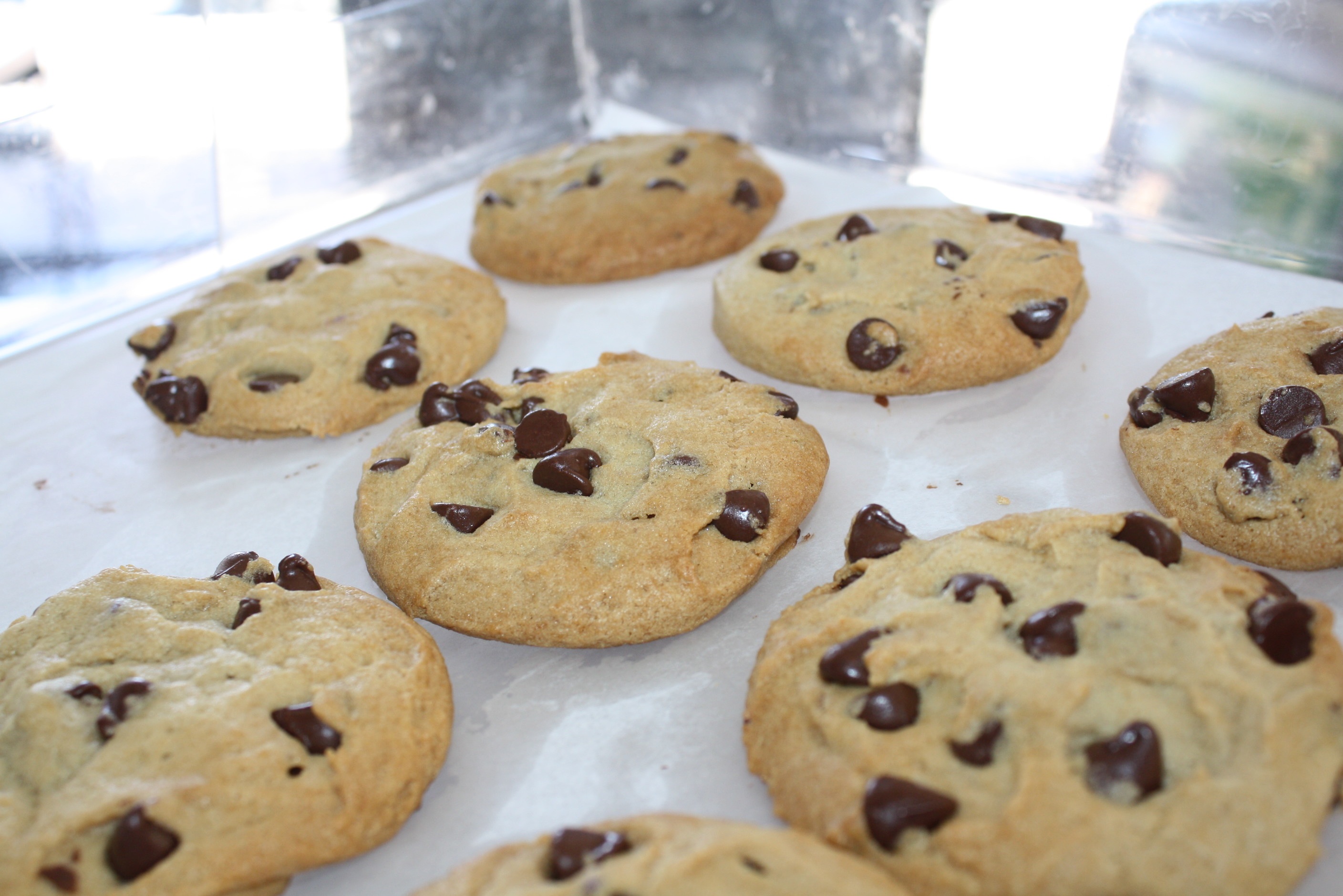 Order Chocolate Chip Cookie(s) food online from College Sub Shop store, San Diego on bringmethat.com