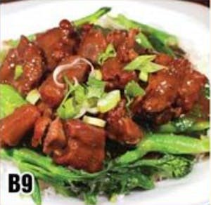 Order B9 Braised Oxtail 紅燒牛尾 food online from Good Children store, Westmont on bringmethat.com
