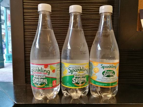 Order Sparkling Water food online from The Chicken And Rice Guys store, Boston on bringmethat.com