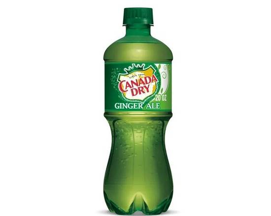 Order Ginger Ale 20oz food online from BAGELS YOUR WAY store, Medford on bringmethat.com