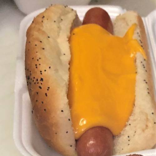 Order Cheese Dog w/ Fries food online from Bellalukes Of Lake Zurich store, Lake Zurich on bringmethat.com