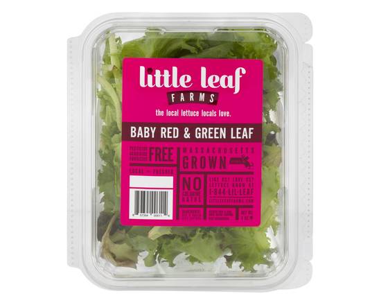 Order Little Leaf · Baby Red & Green Leaf (4 oz) food online from Shaw's store, Raynham on bringmethat.com