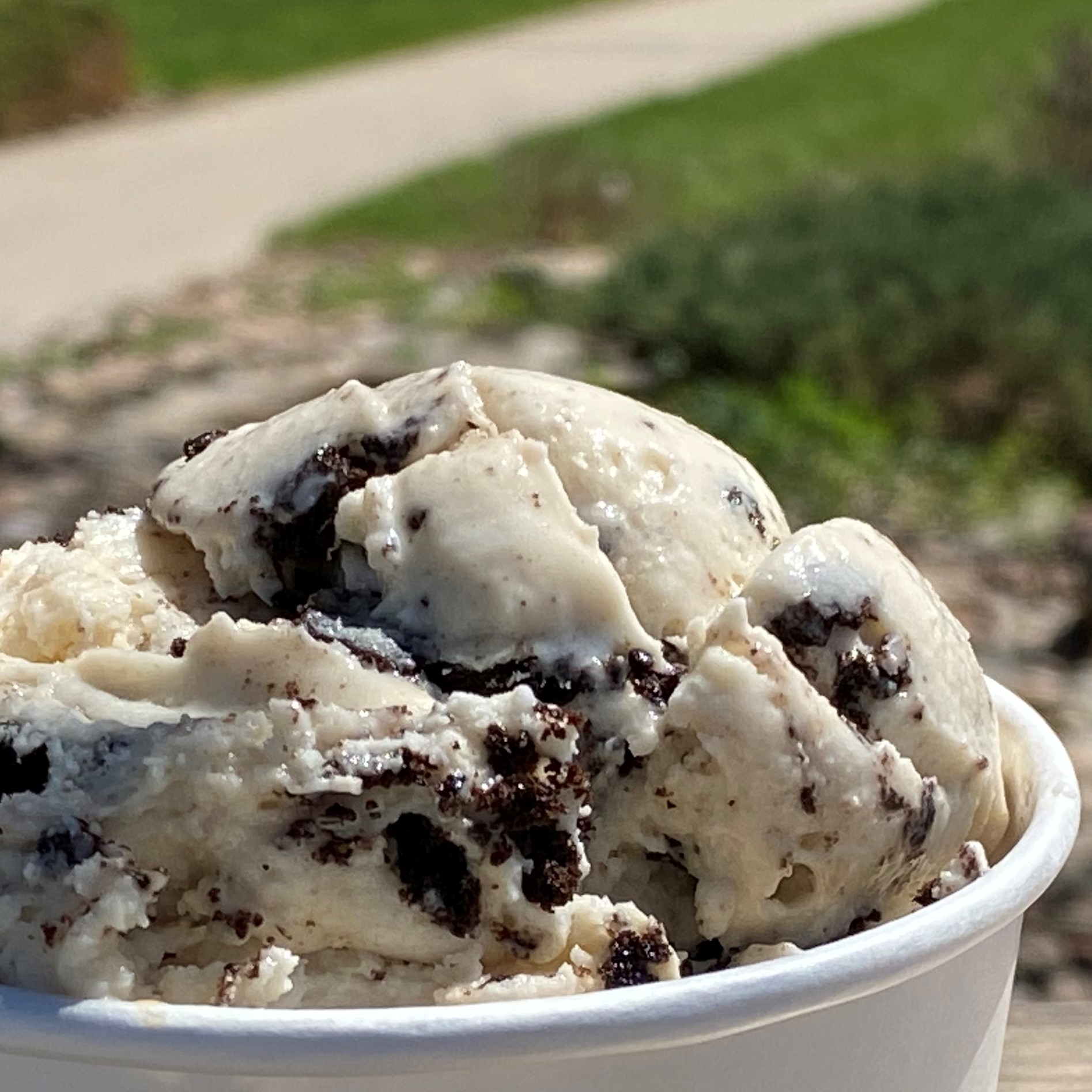 Order Salted Caramel Oreo Ice Cream food online from Glacier Homemade Ice Cream store, Boulder on bringmethat.com