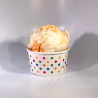 Order Medium VEGAN Ice Cream food online from Coney Waffle Ice Cream And Sweet Shop store, Red Bank on bringmethat.com