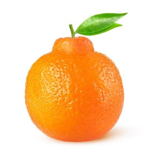 Order Tangelo Minneola food online from ACME Markets store, Thornwood on bringmethat.com