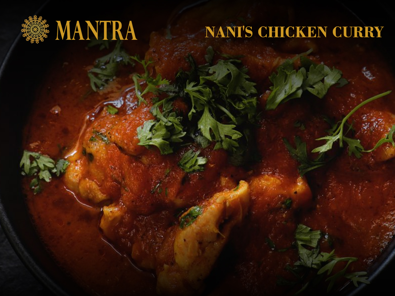Order Nani's Chicken Curry food online from Mantra Authentic Indian Restaurant store, Jersey City on bringmethat.com