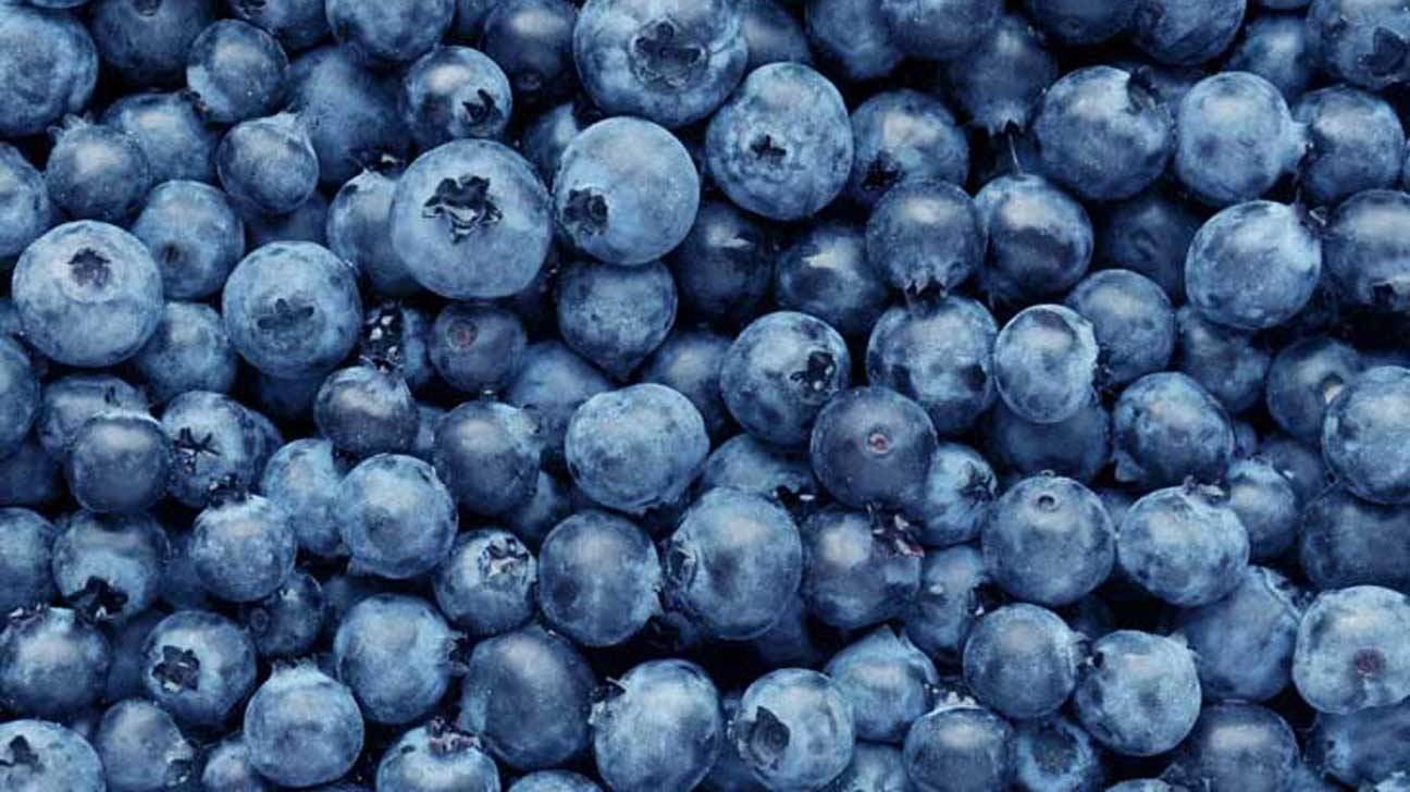 Order Fresh Blueberries food online from Golden Spoon store, Newport Beach on bringmethat.com