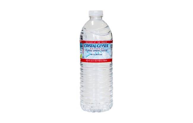 Order Water (bottle) food online from Thick N' Tasty Pizza store, San Francisco on bringmethat.com