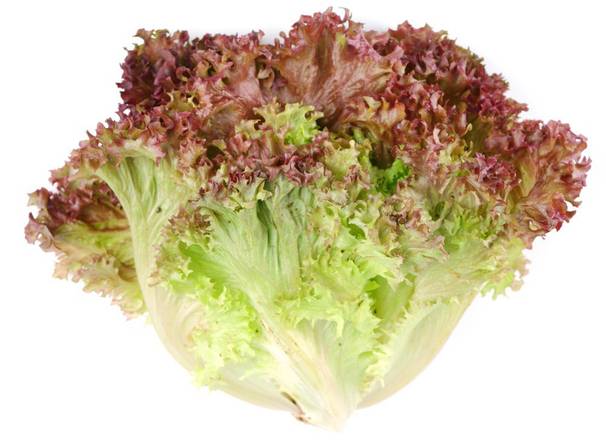 Order Red Leaf Lettuce (1 ct) food online from Tom Thumb Express store, Arlington on bringmethat.com