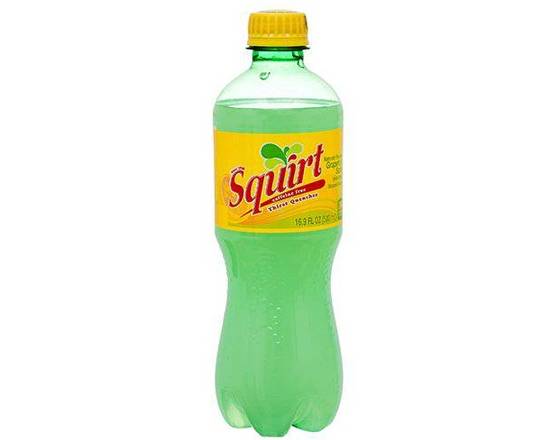 Order squirt soda 16.9 oz single food online from Ogden Wine & Spirit store, Naperville on bringmethat.com