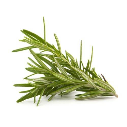 Order Rosemary (1 bunch) food online from Albertsons store, Bakersfield on bringmethat.com