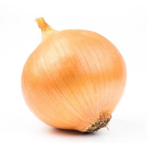 Order Organic Small Yellow Onions (1 onion) food online from Albertsons Express store, Alexandria on bringmethat.com