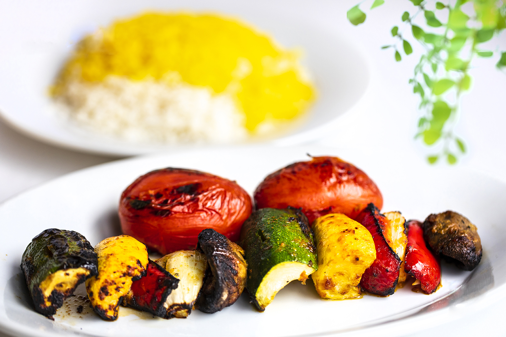 Order Veggie Kabob food online from Mersi Chef Persian store, Kennesaw on bringmethat.com