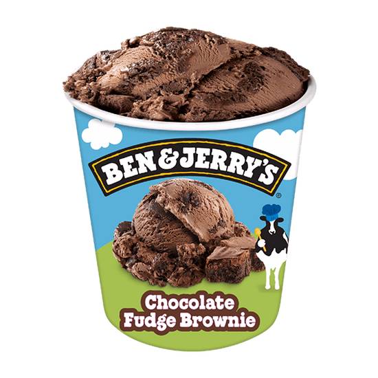 Order Ben & Jerry's Chocolate Fudge Brownie Ice Cream 16oz food online from Casey store, Terre Haute on bringmethat.com