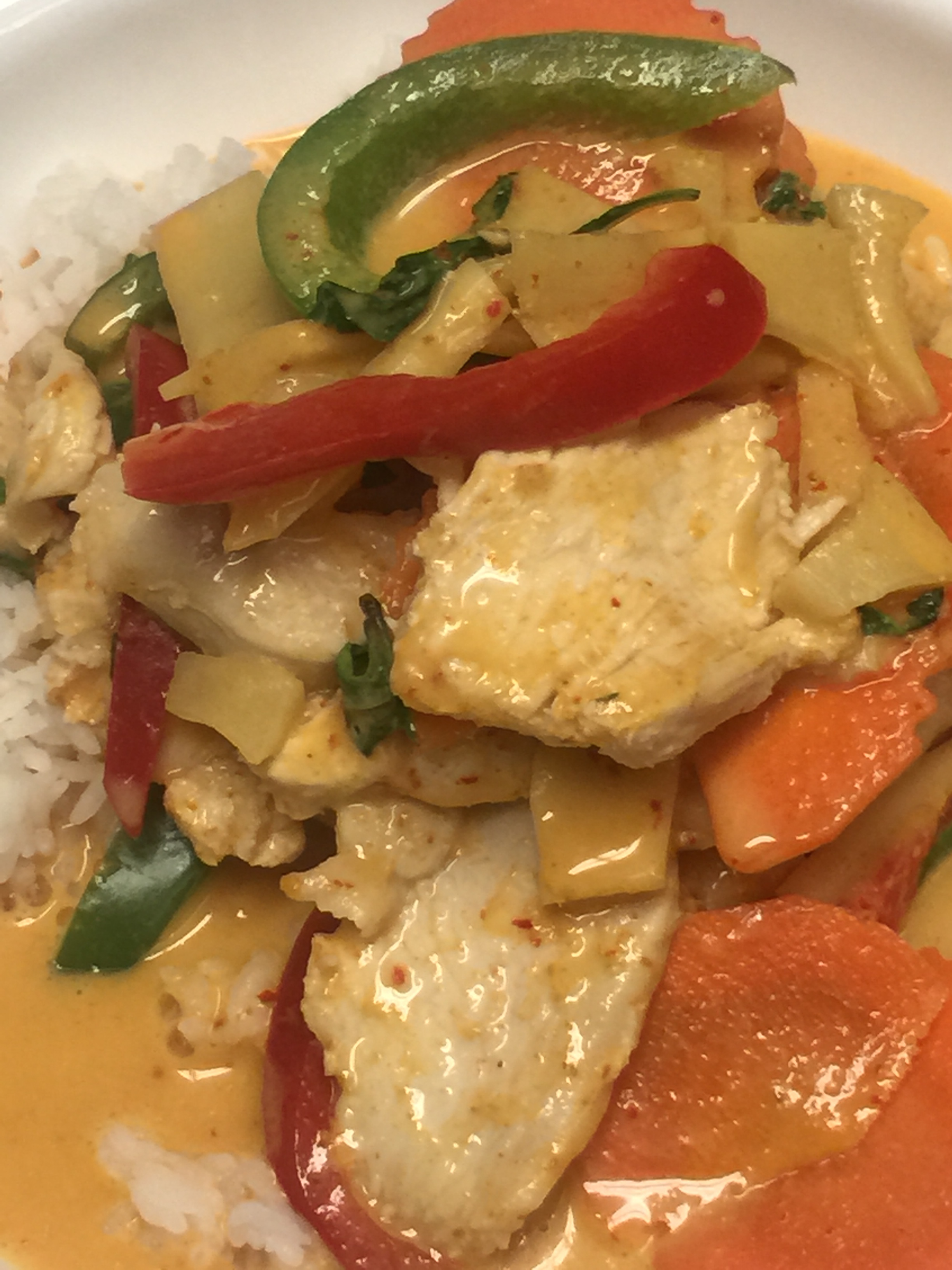 Order C1. Small Red Curry and Bamboo Shoot food online from Rod Thai Family Taste Thai Restaurant store, Boston on bringmethat.com