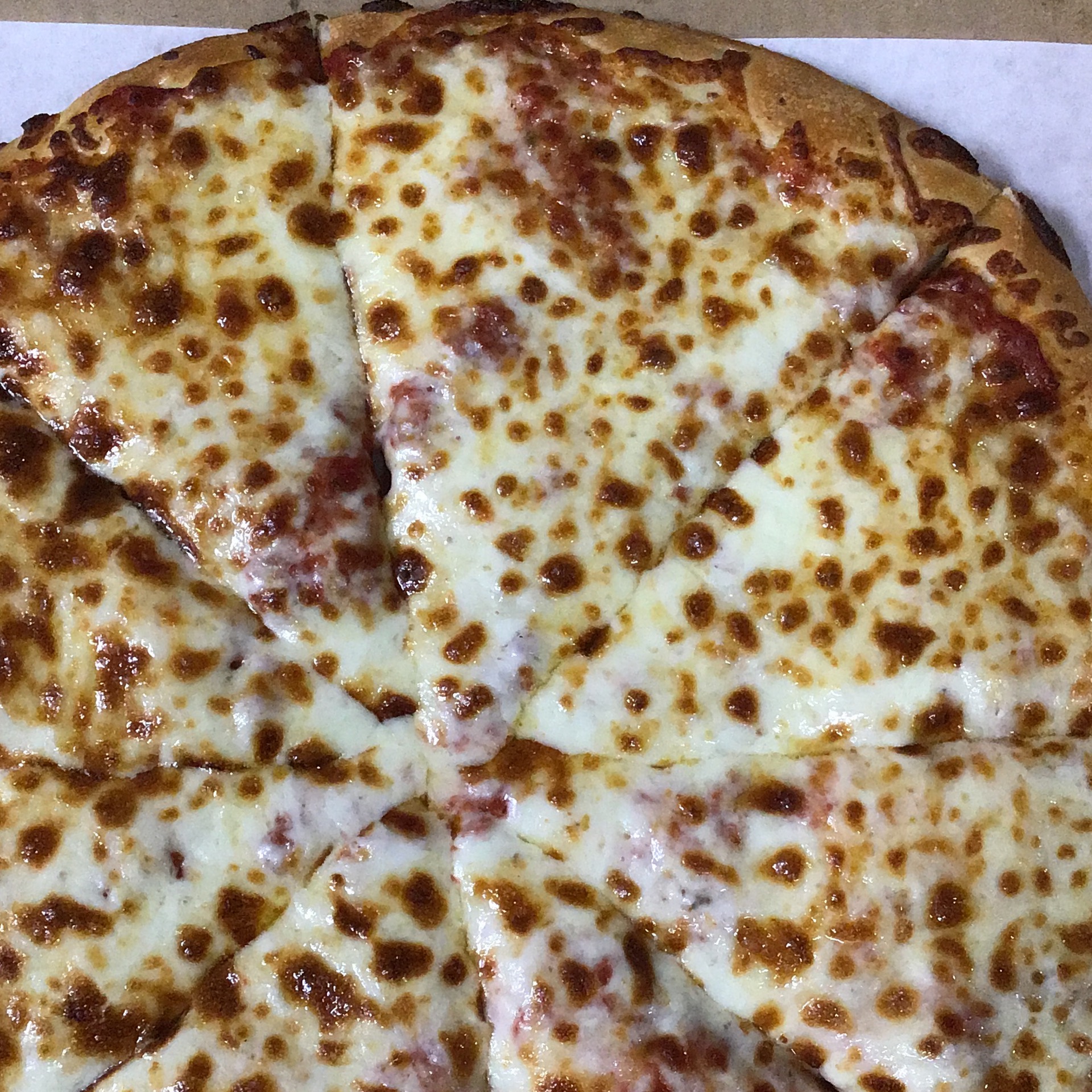 Order 1 Medium 12" Cheese Pizza food online from Can-Am Pizza store, Redmond on bringmethat.com