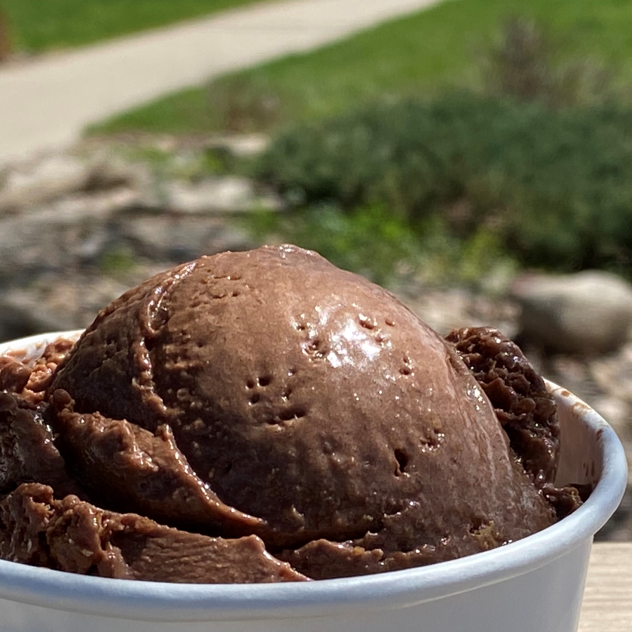 Order Chocolate Peanut Butter Ice Cream food online from Glacier Homemade Ice Cream store, Boulder on bringmethat.com