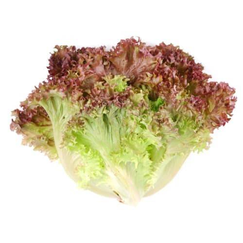 Order Organic Red Leaf Lettuce (1 ct) food online from Albertsons store, Lafayette on bringmethat.com