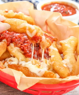 Order Pizza Cheese Fries food online from New York Pizza & Family Restaurant store, Tannersville on bringmethat.com